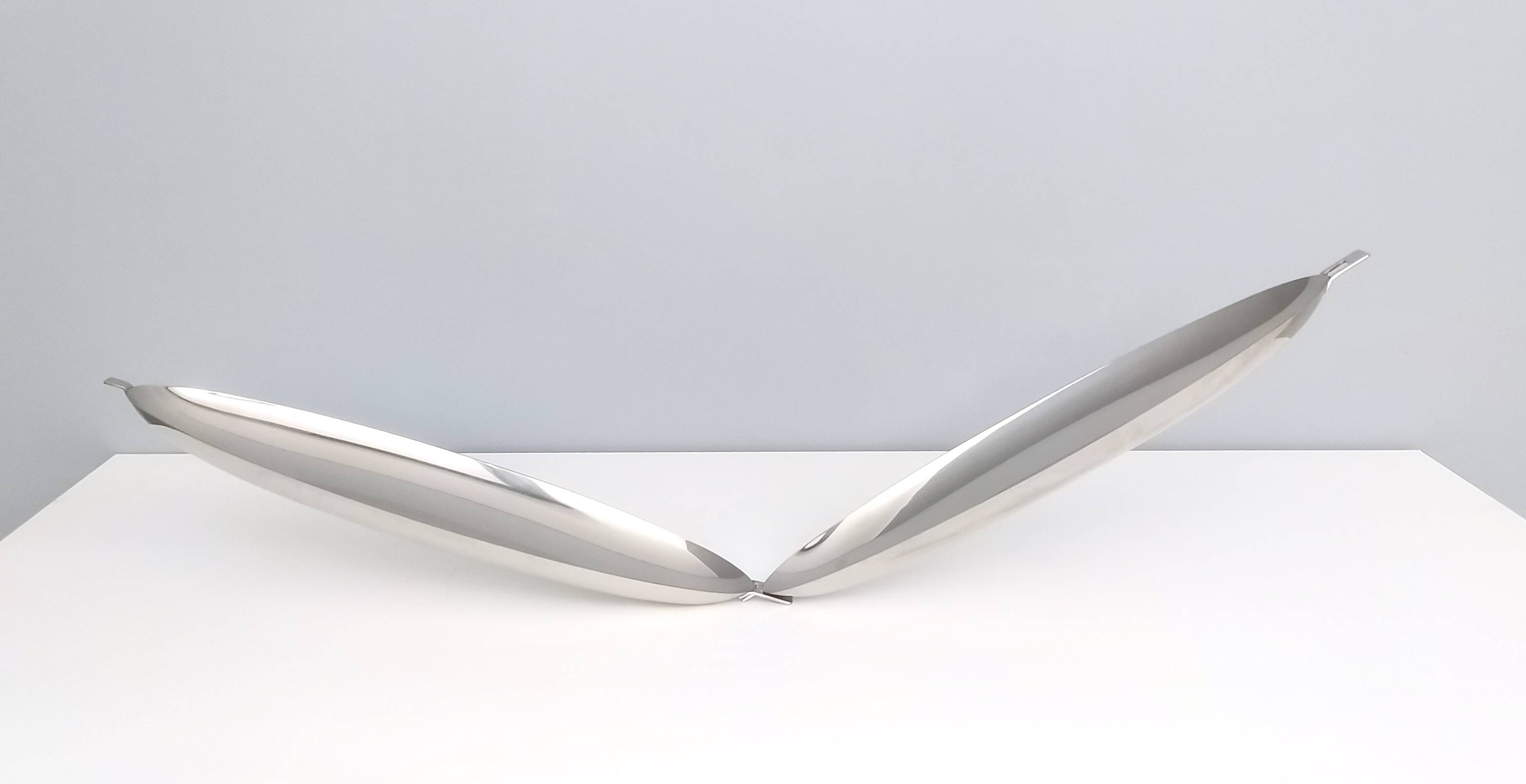 Roberto Sambonet Stainless Steel Fish Poacher with a 1960s Design, Italy