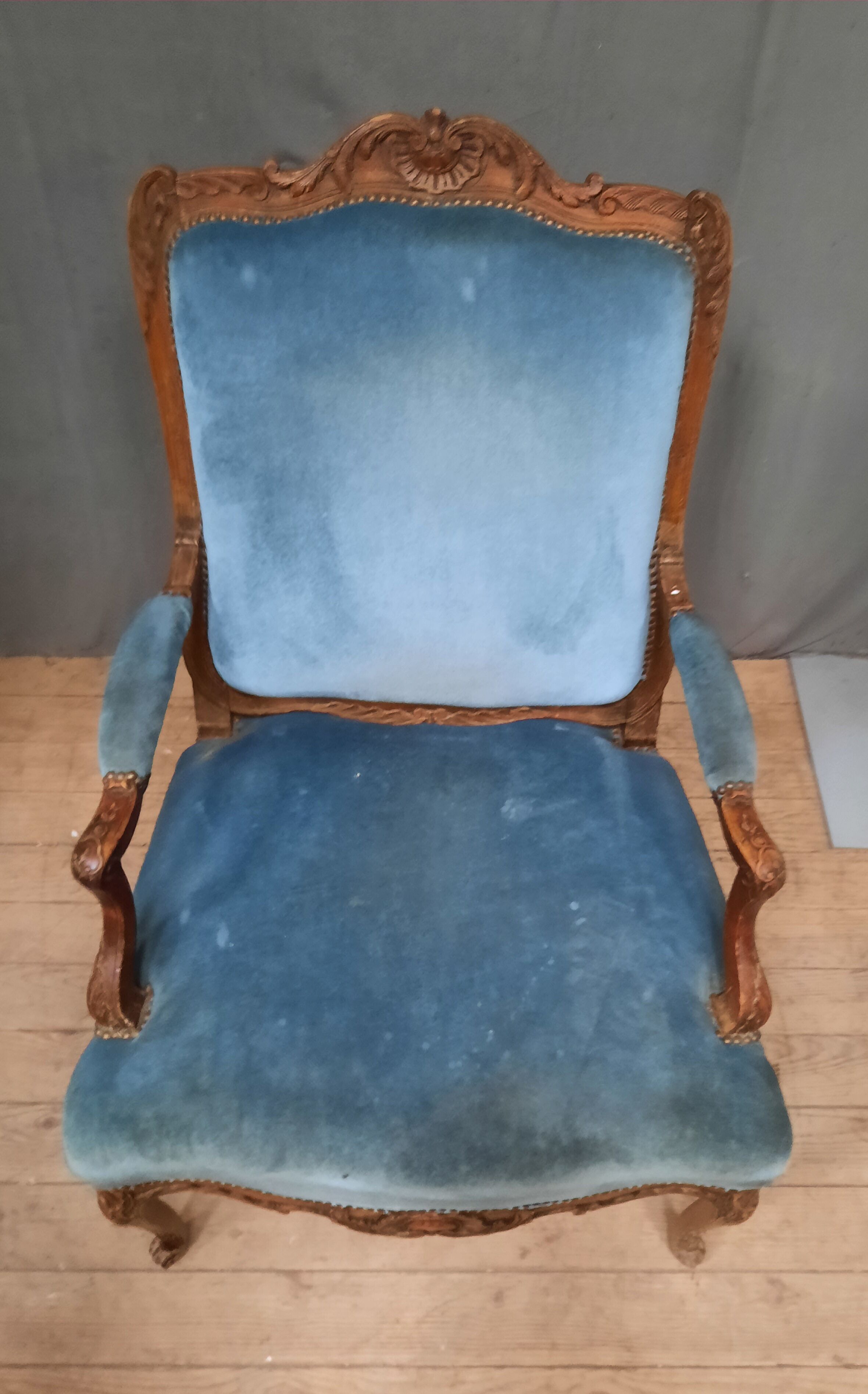Fauteuil regence en chêne  et velour bleu