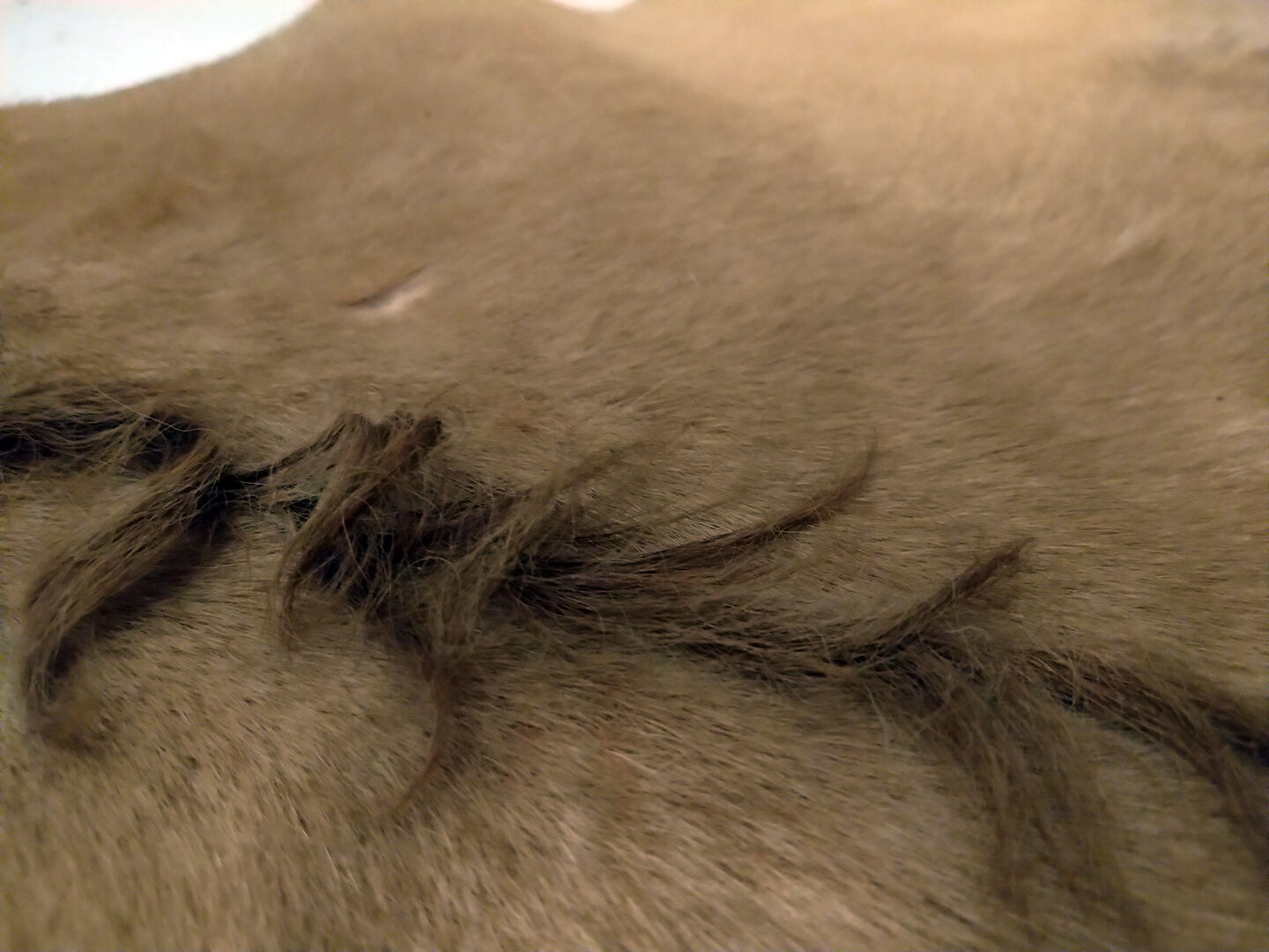 Vintage horse Skin 80 x 110 cm