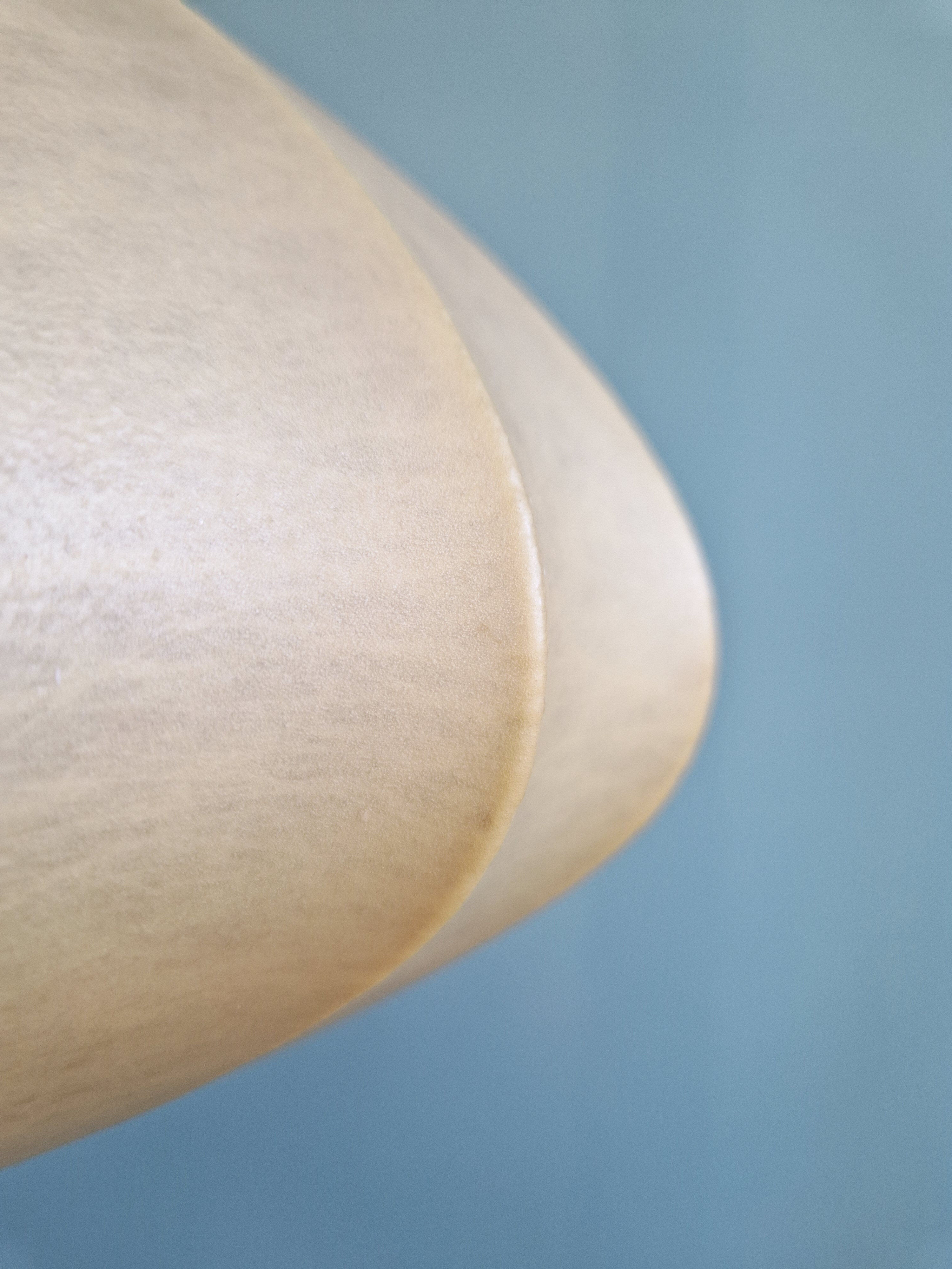 Onion-shaped suspension cocoon, 1960s