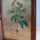 Cléfier en bois et laiton illustration fleur