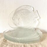 Glass fish plates
