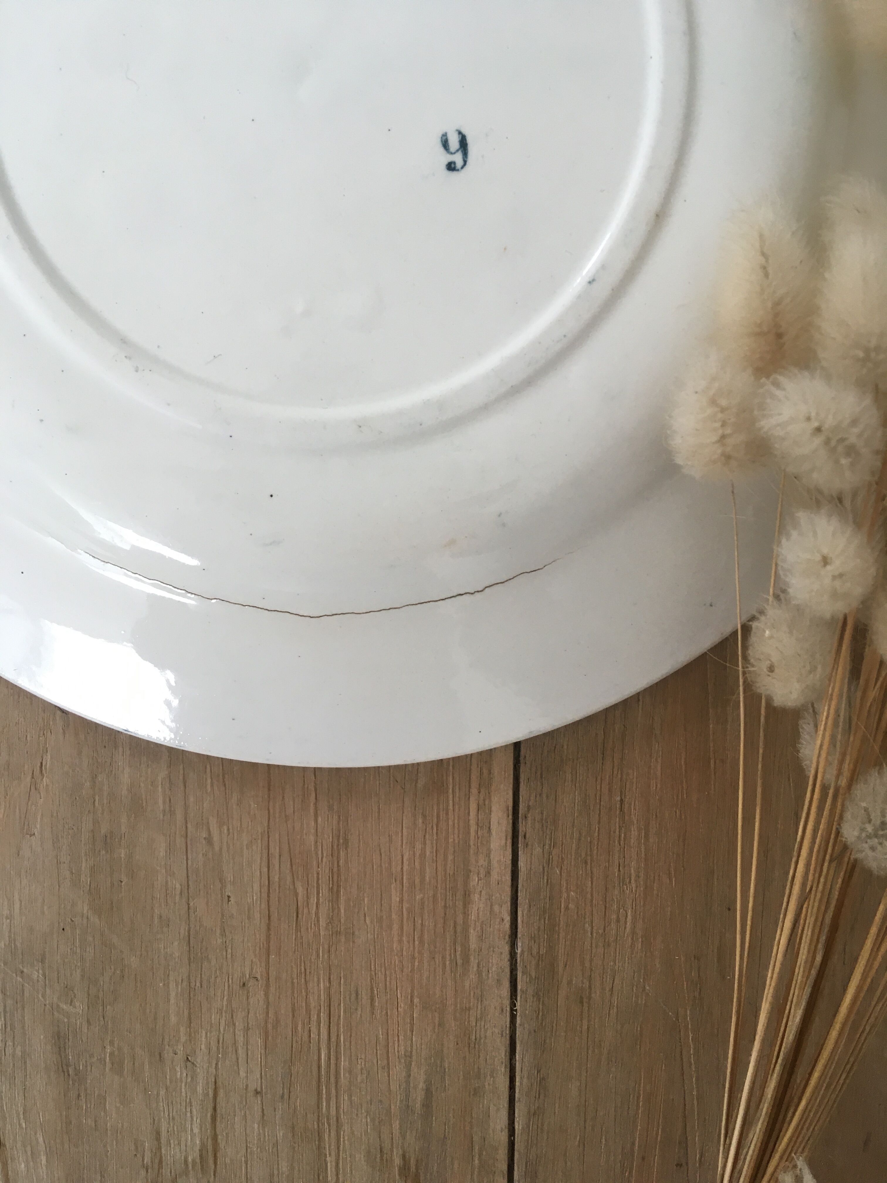 Lot 5 mismatched iron earth flat plates