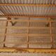Vintage rattan crib