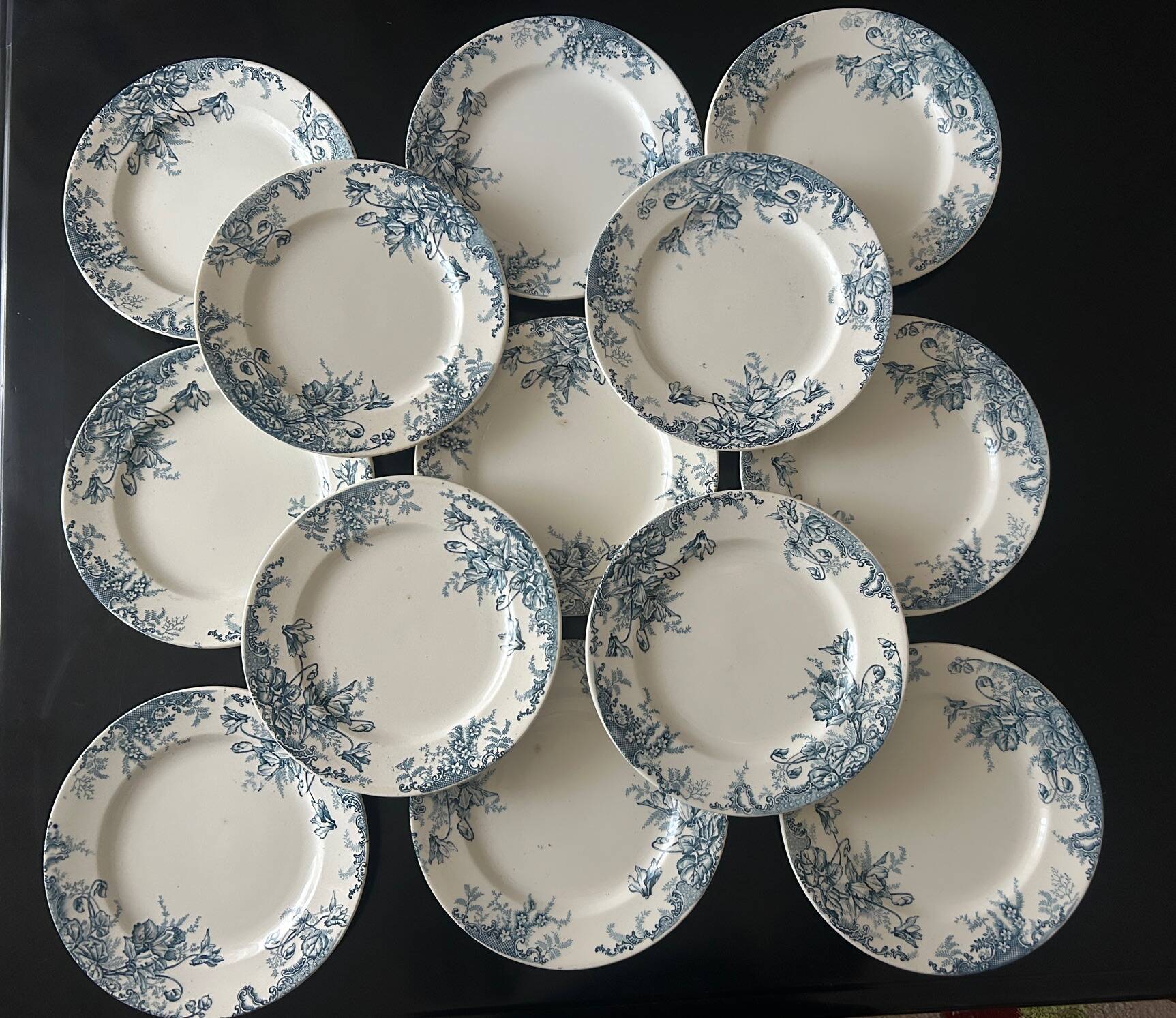 13 flat plates Terre de Fer Louis Graves