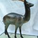 Regule Impala by Rochard