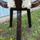 Tripod chair/stool in wood and goatskin