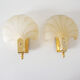 Pair of glass shell appliques