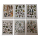 Lot of lithographs on gardens, feathers, medicinal plants and the orchard