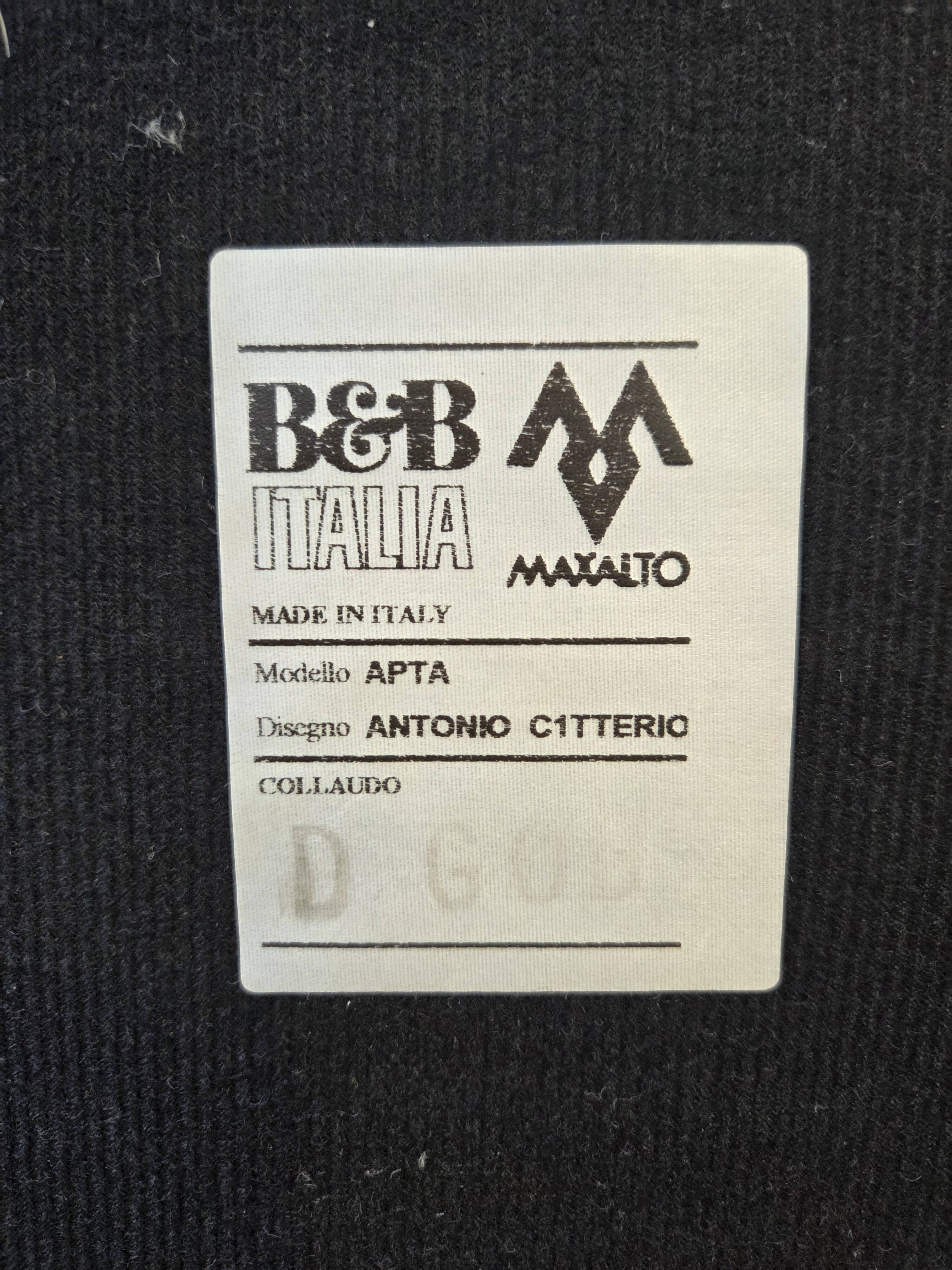 ​B&B Italia Maxalto Kalos Armchair & Ottoman by Antonio Citterio