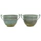 French Art Nouveau Style Flower Pots Garden Vases Verdigris