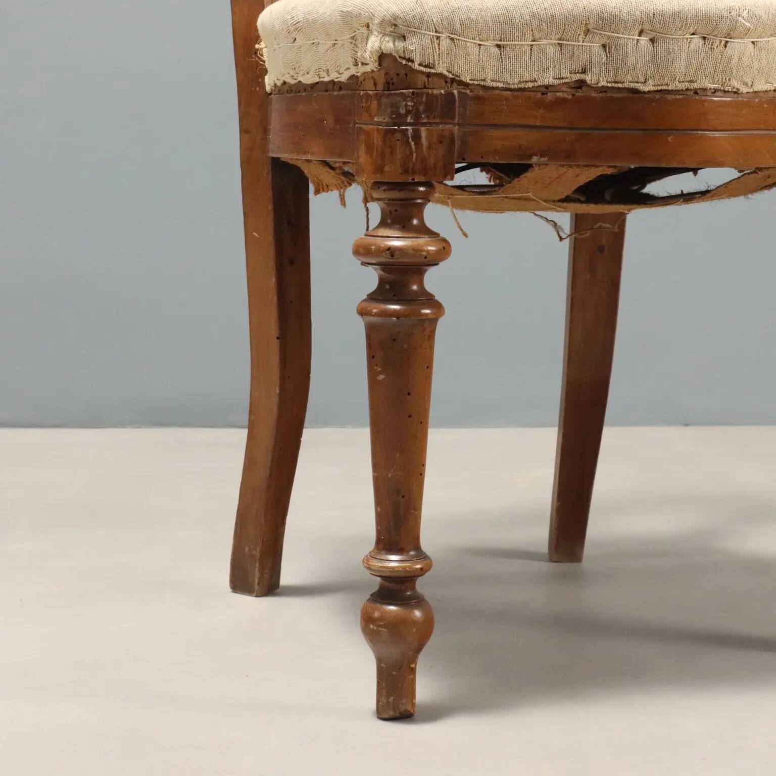 Antique walnut chairs with horsehair upholstery, Italy, 19th century.