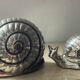 Duo vintage snail jewelry boxes in silver metal