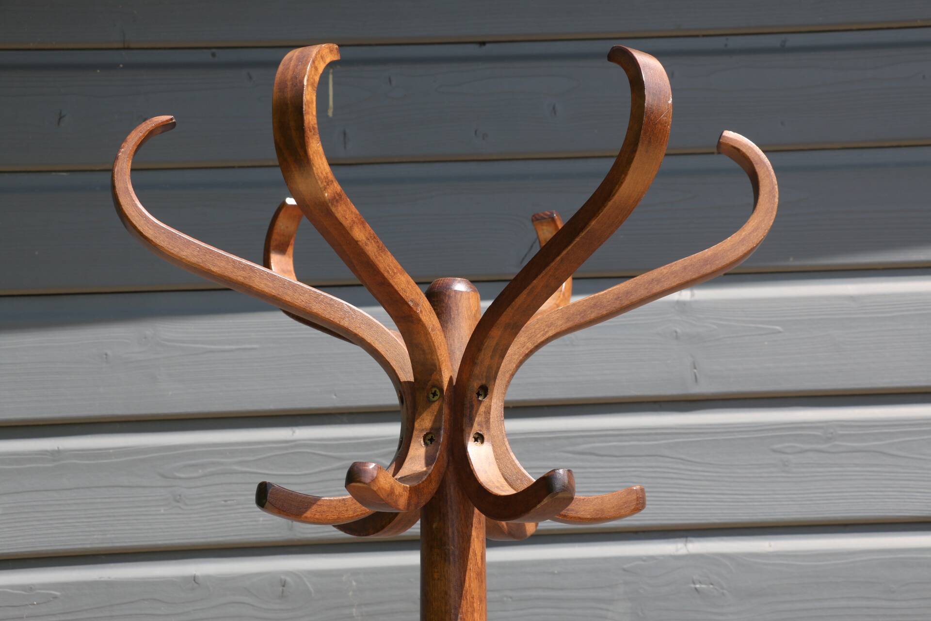 Dark BAUMANN parrot coat rack (A4)