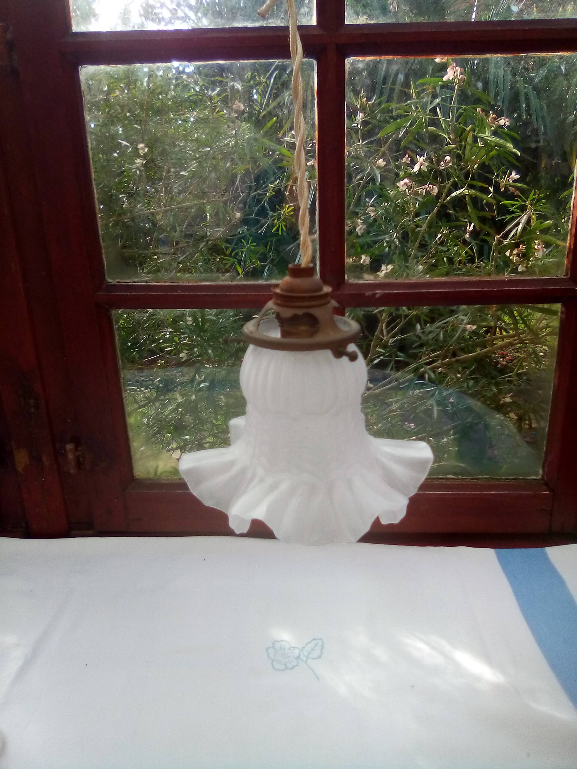 Glass tulip pendant light