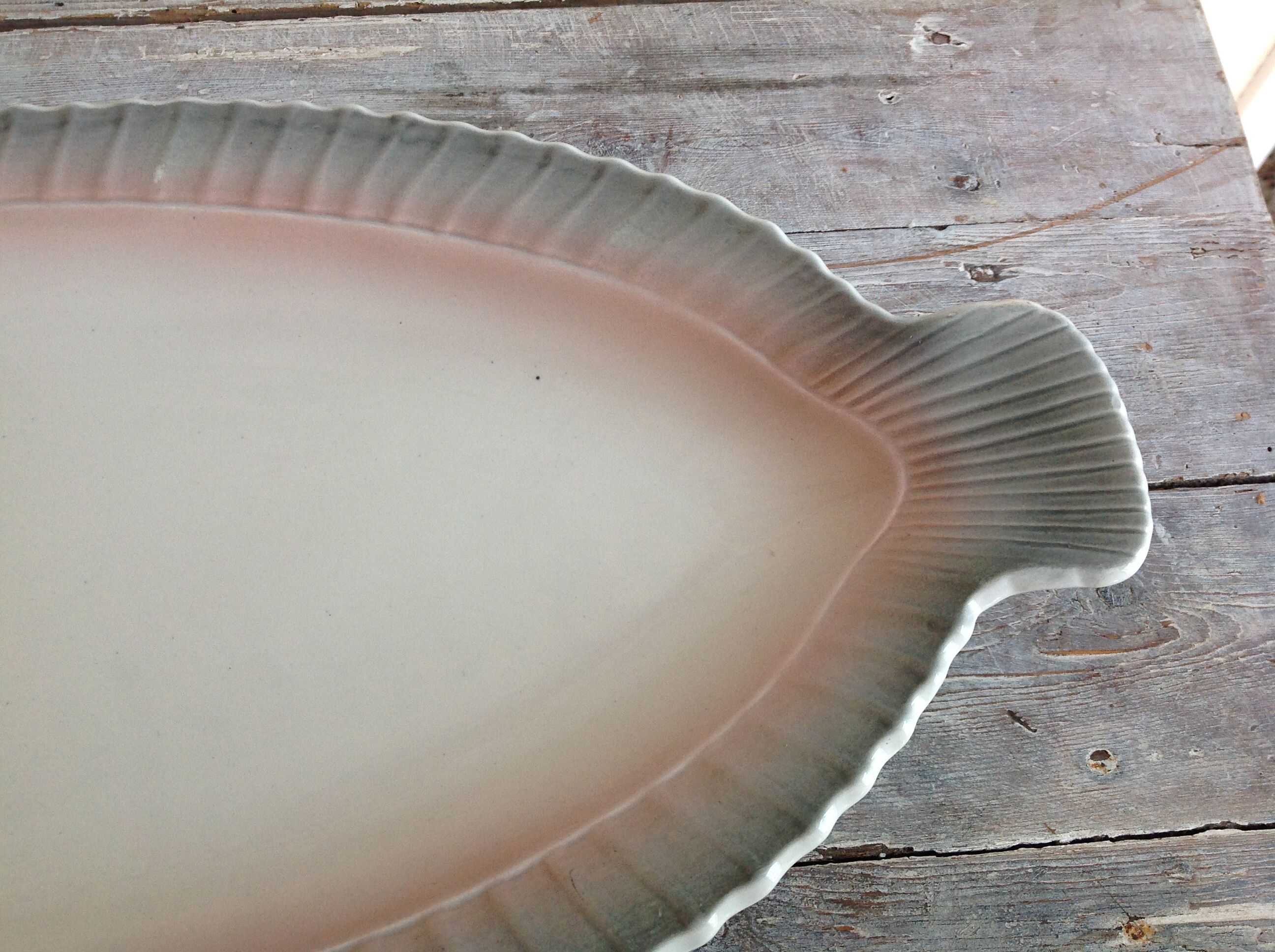 Fish dish