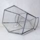 Verrière terrarium mini serre à cactus en verre et métal