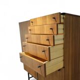 VSJ-125 Salon Cabinet by Kurt Gunther & Horst Brechtmann for Fristho, 1960