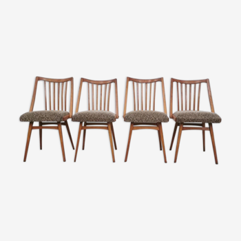 Set of 4 chairs by Antonin Suman