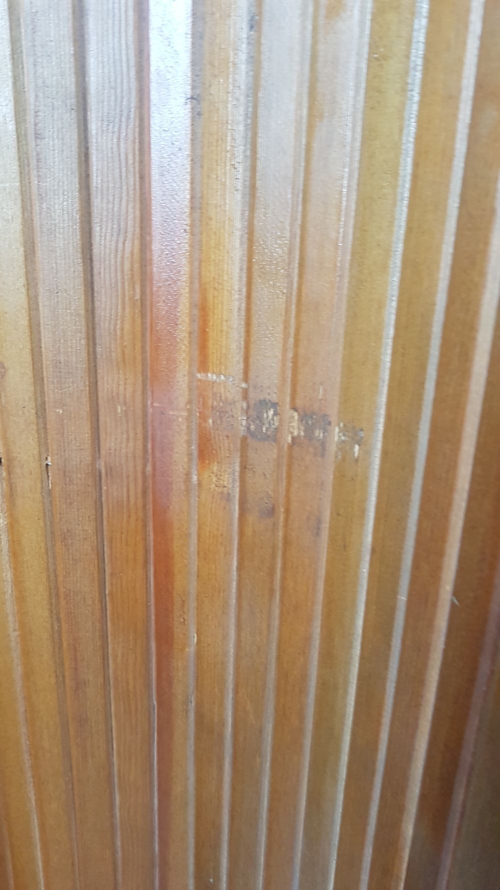 Baumann screen circa 1950