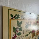 Vintage illustrated cardboard poster