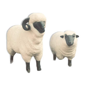 Sheep