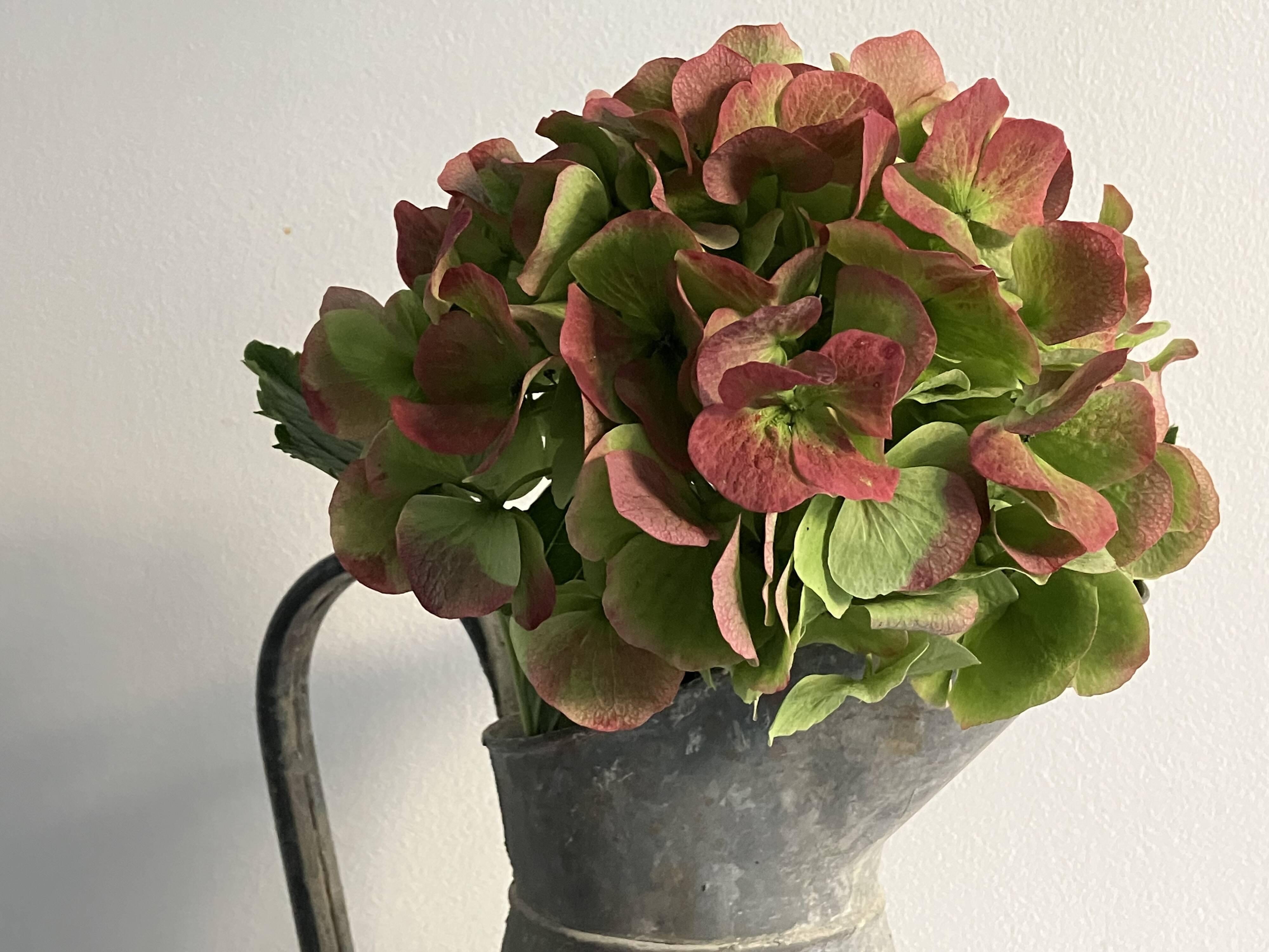 Zinc jug, watering can