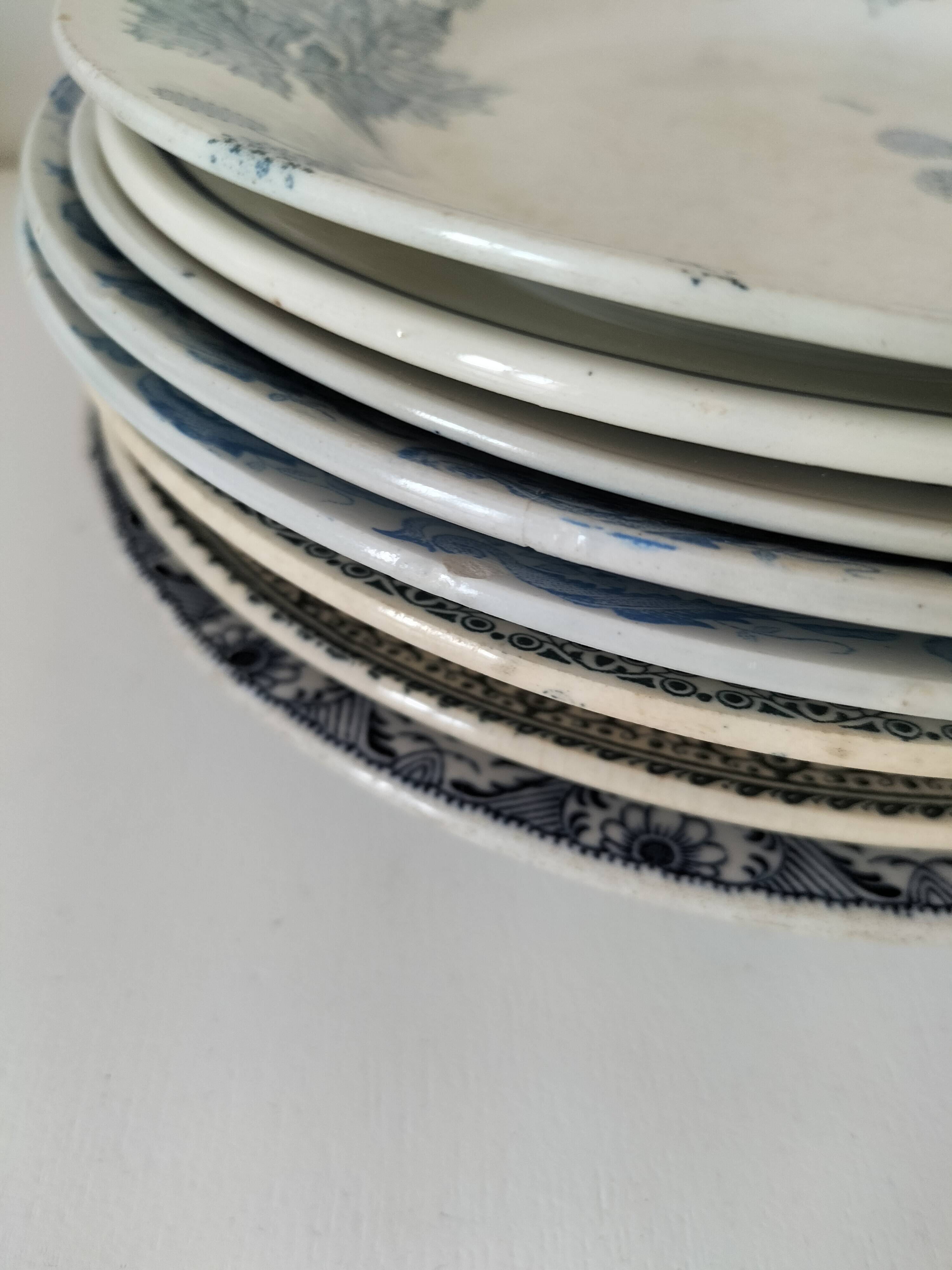 8 ironstone plates from the 19th century in blue camaïeu, mixed manufacturers.