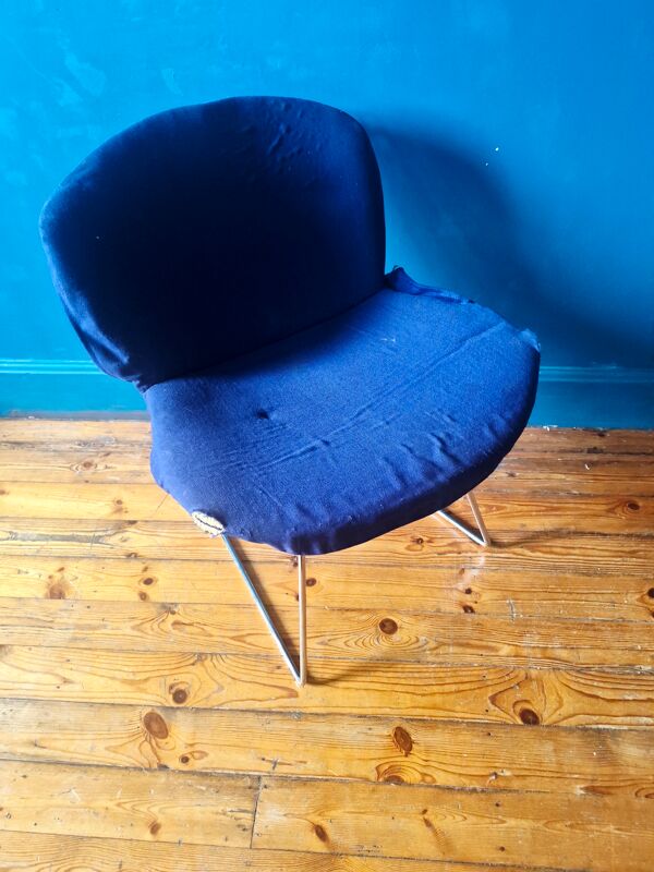 Chaise bertoia wire pour knoll chrome