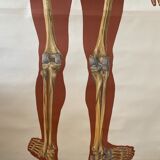 Deutsches Hygiene Museum SKELETON Vintage Medical Poster Wall Board 1960's