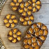 Vintage oyster service Vallauris