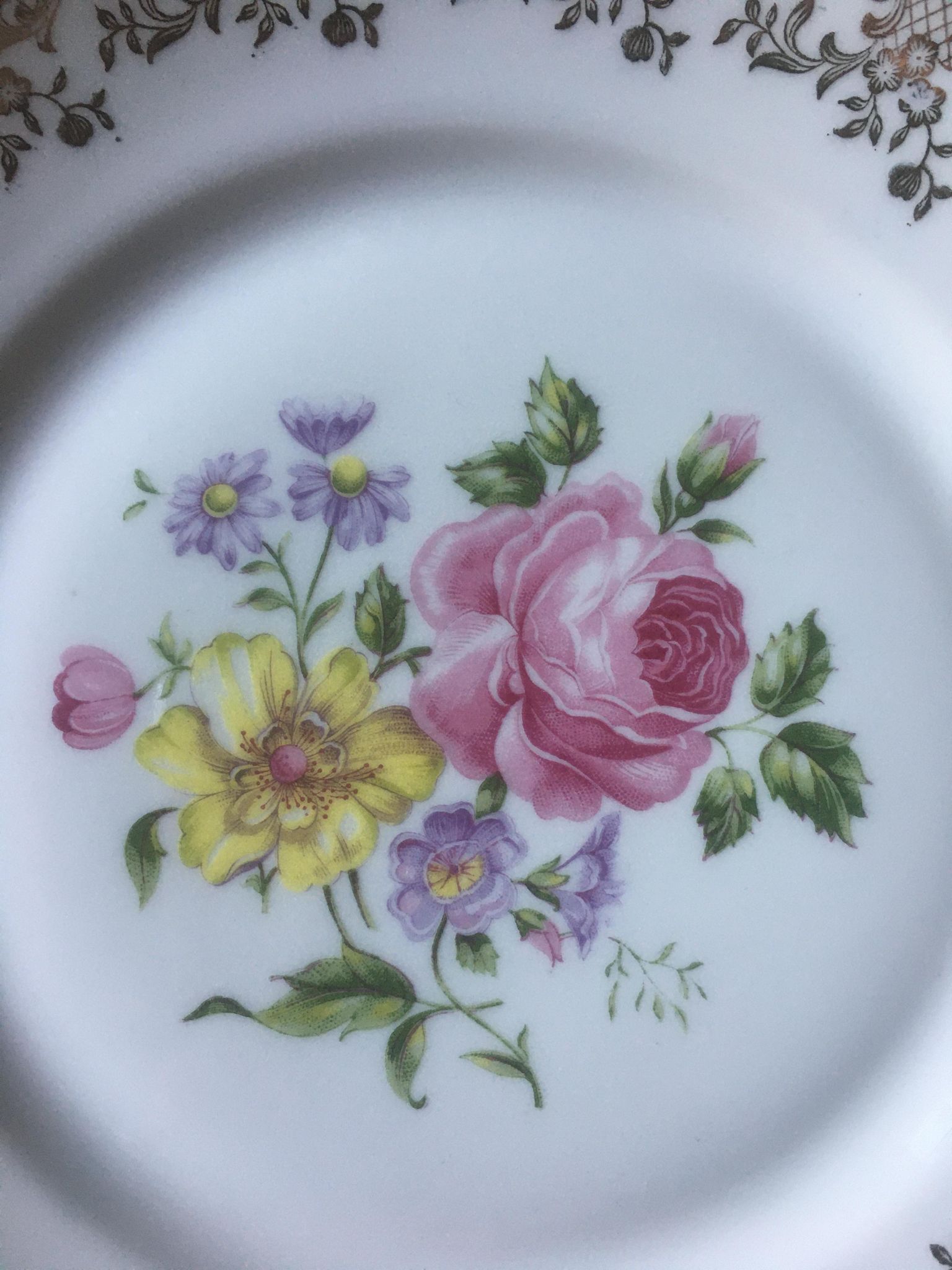 Duo plates in royal porcelain of Limoges 1930-1950