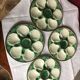 4 vintage oyster plates