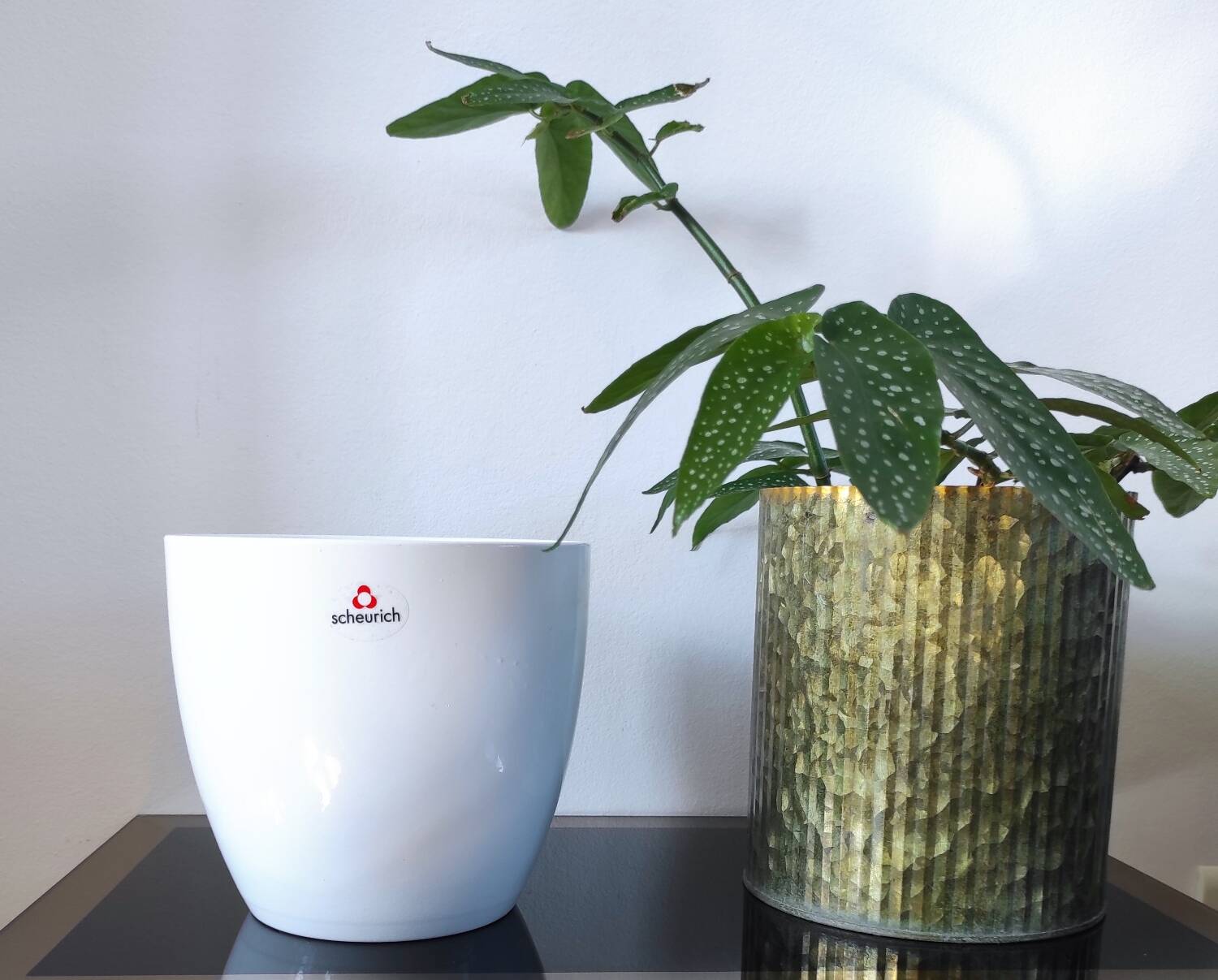 Cache-pot vintage blanc émaillé – Scheurich "Alaska"