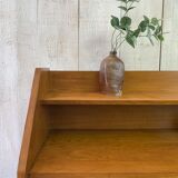 Scandinavian bookcase