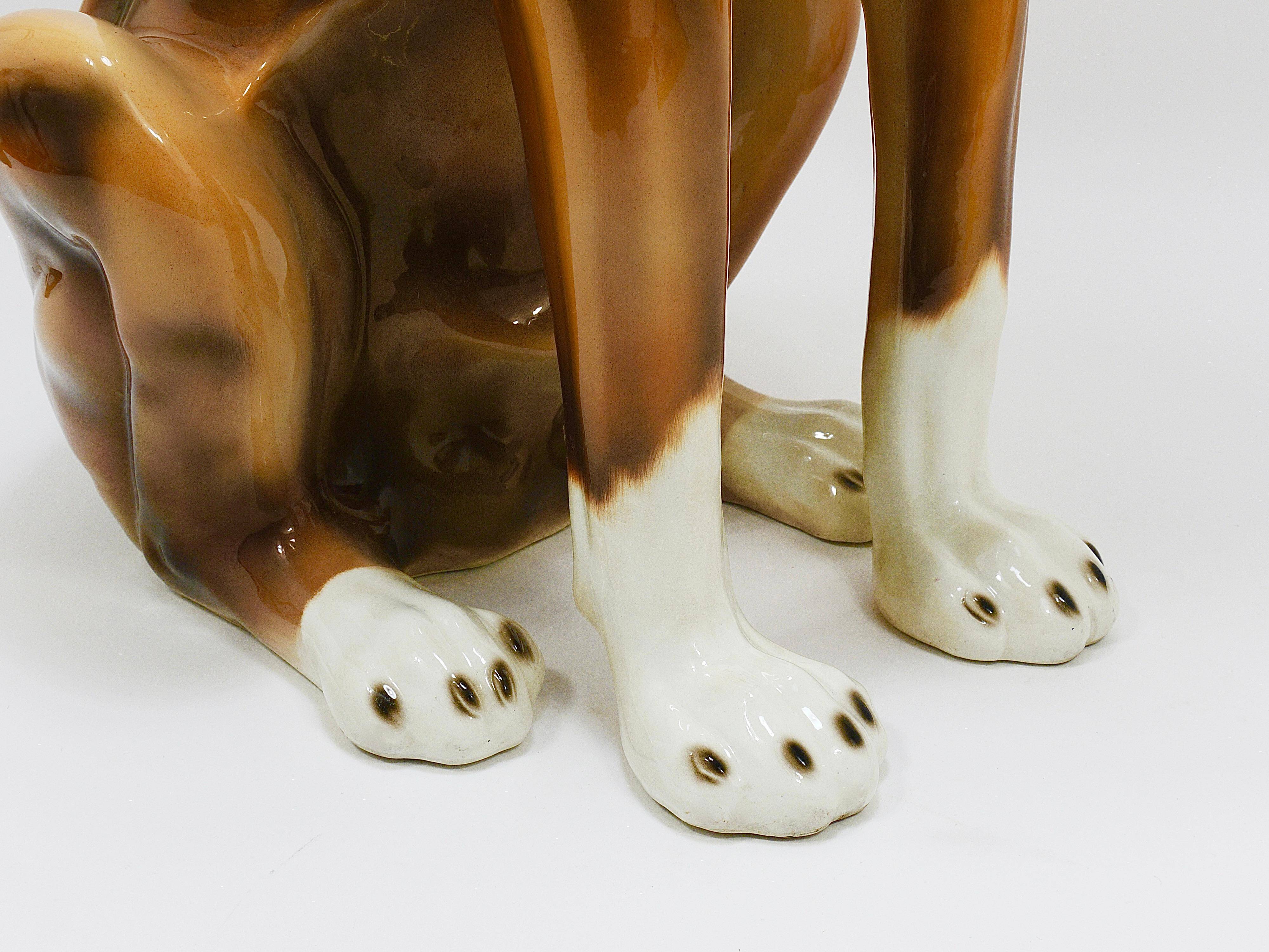 Life-size boxer dog statue in majolica, glazed ceramic, Italy, 1970s.