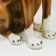 Life-size boxer dog statue in majolica, glazed ceramic, Italy, 1970s.