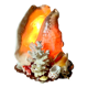 Lamp night light shell conch 1950 cabinet of curiosities seaside