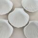 Set of 5 shell bowls