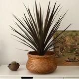 Wicker basket