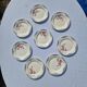 Set of 8 Flat Plates Barfleur Model Sarreguemines Manufacture