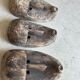 Large Timor mask in patinated wood H:50cm (1)