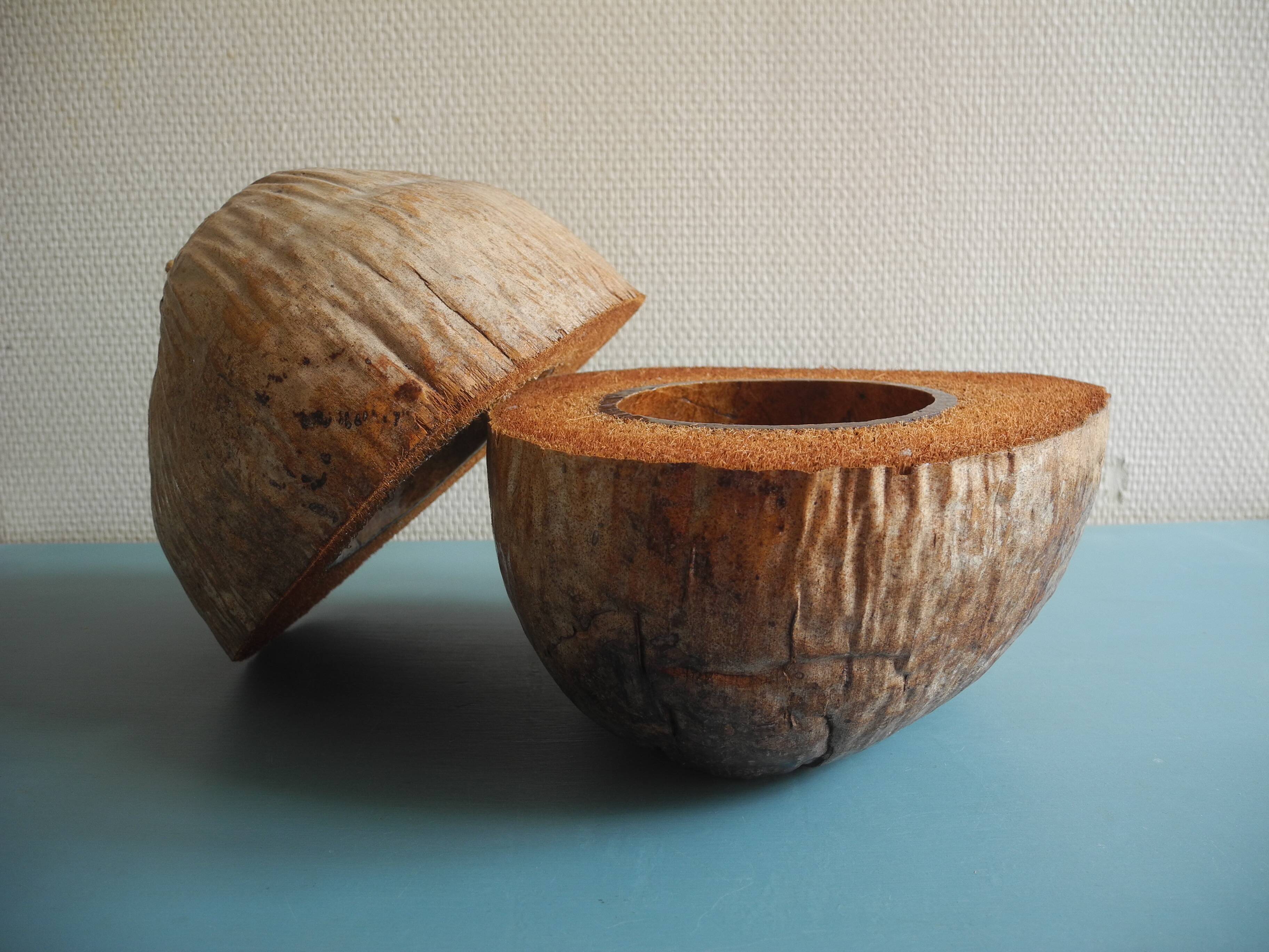 vintage ice bucket coconut Nocodaf Abidjan 70s