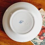 Lot de 6 assiettes plates en terre de fer Boulenger et Samaritaine coq canard