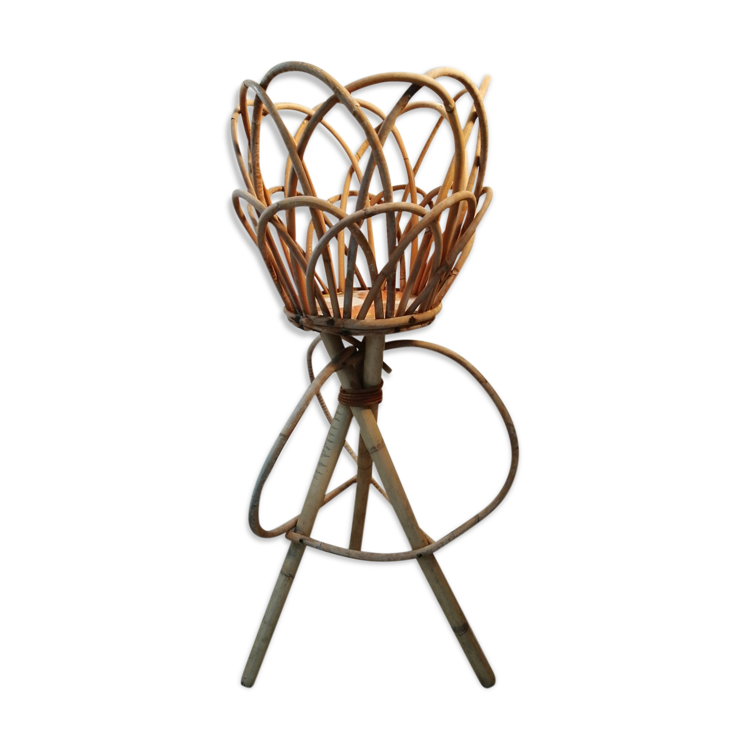 Door rattan plant 60s