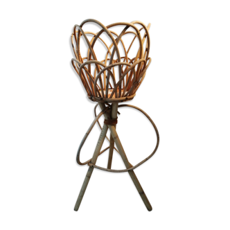Door rattan plant 60s