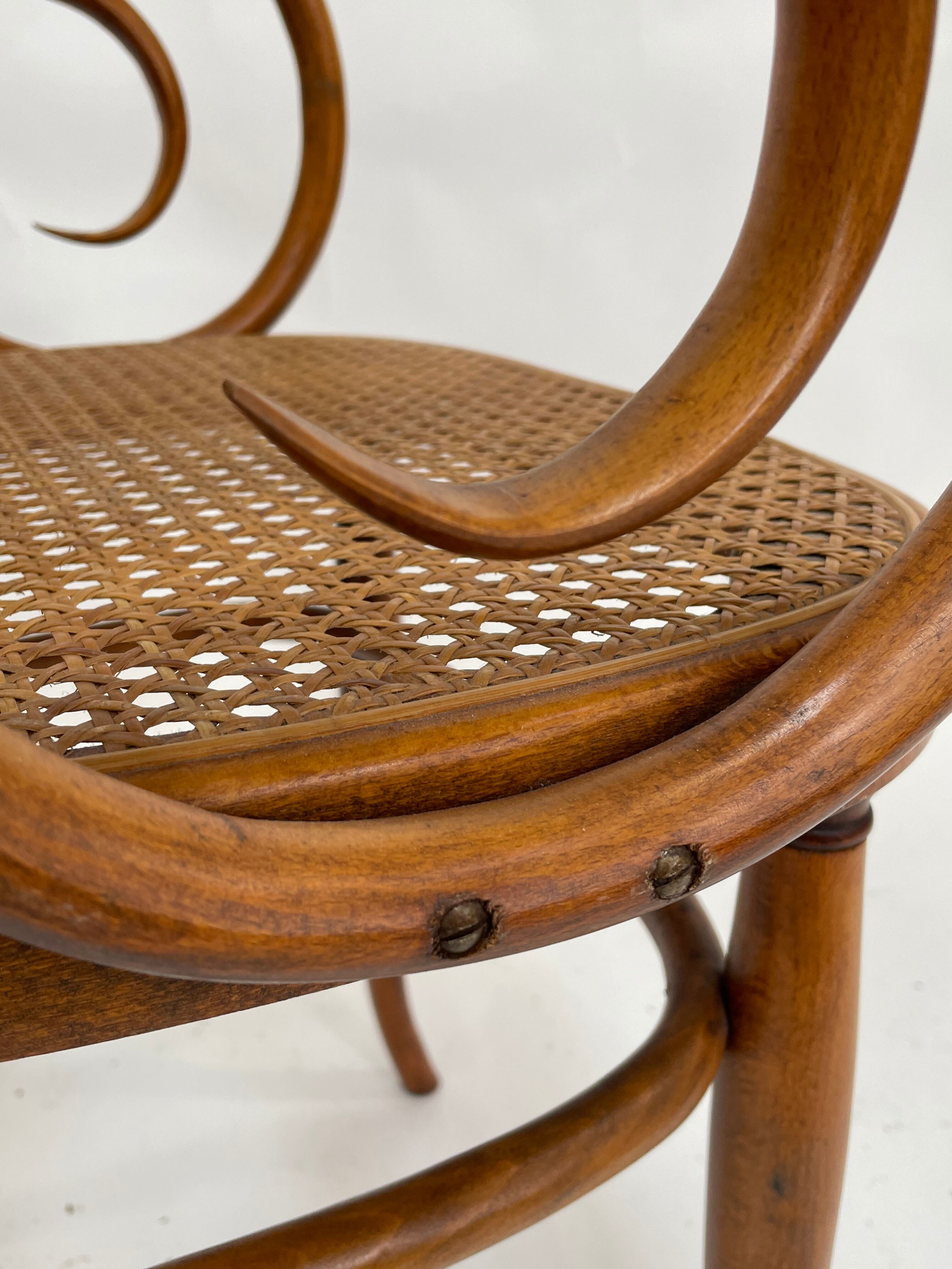 Sculptural bendwood side chair model