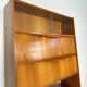 1950s Vintage Walnut Cabinet by Franz Ehrlich for Hellerau