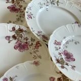 8 Haviland Limoges plates from the 19th century.