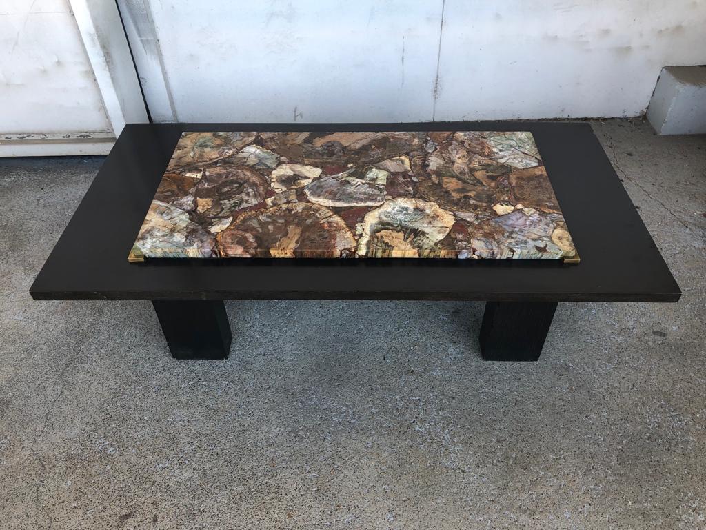 Coffee table with petrified wood top